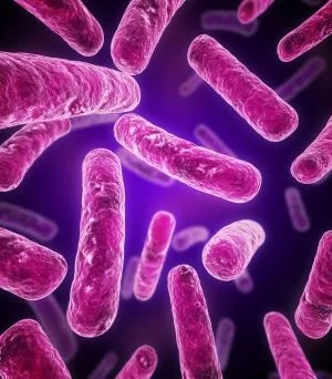 6 probiotic myths busted
