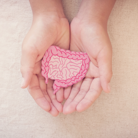 Probiotics vs Sporebiotics: The Ultimate Showdown