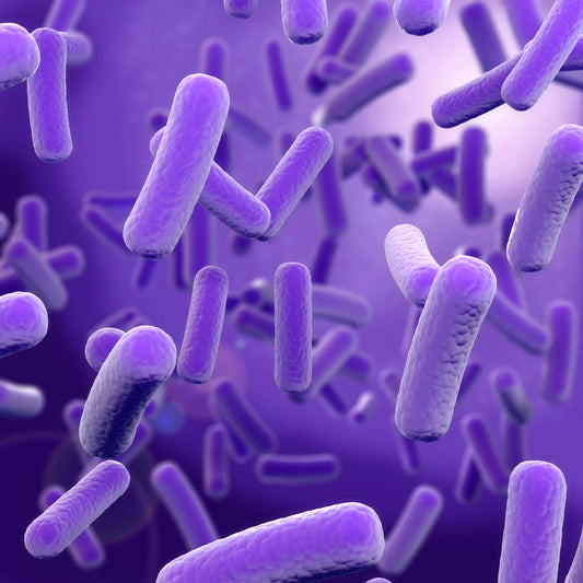 9 things you need to know about the world’s best sporebiotic